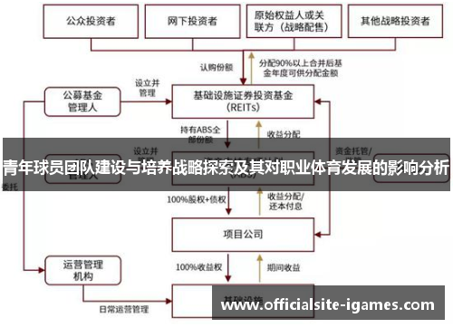 青年球员团队建设与培养战略探索及其对职业体育发展的影响分析